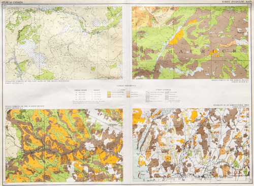 Forest Inventory Maps